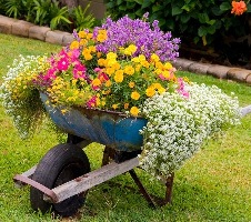 Oferte de servicii AMENAJARI FLORALE si Bricolaj Case Scule Unelte